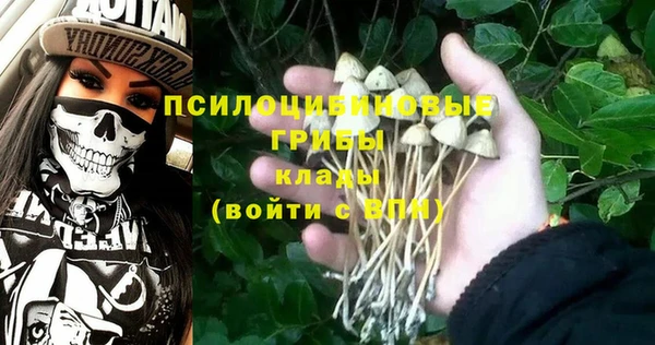 бошки Баксан