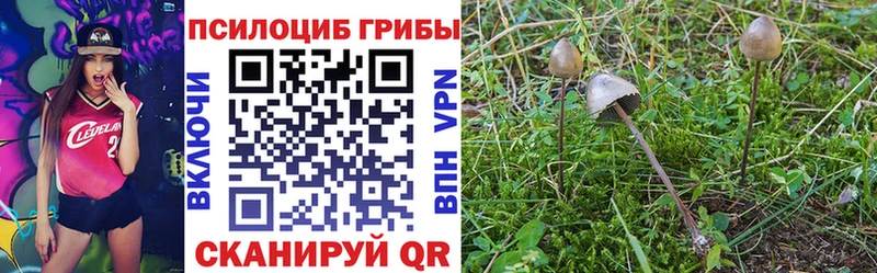 Галлюциногенные грибы Psilocybine cubensis  Новохопёрск 